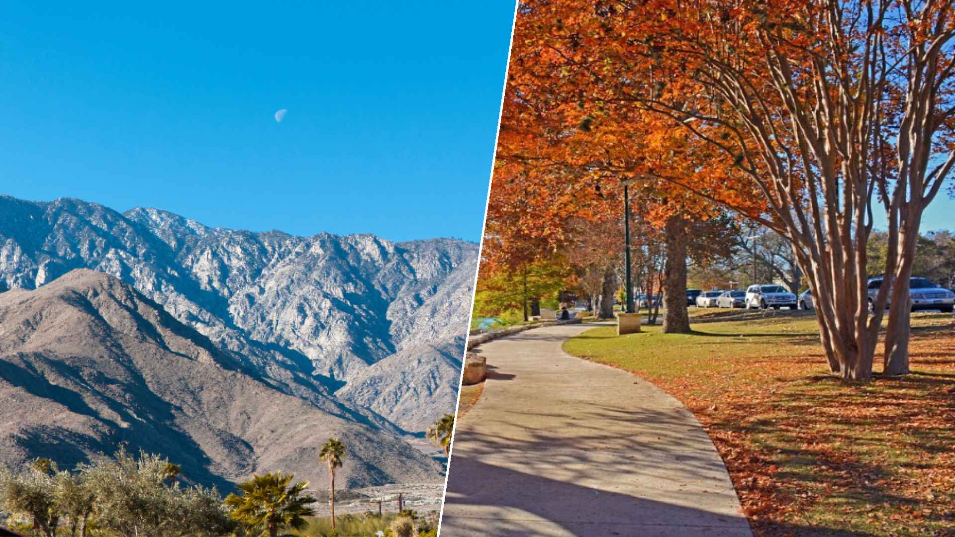 Palm Springs to Boerne