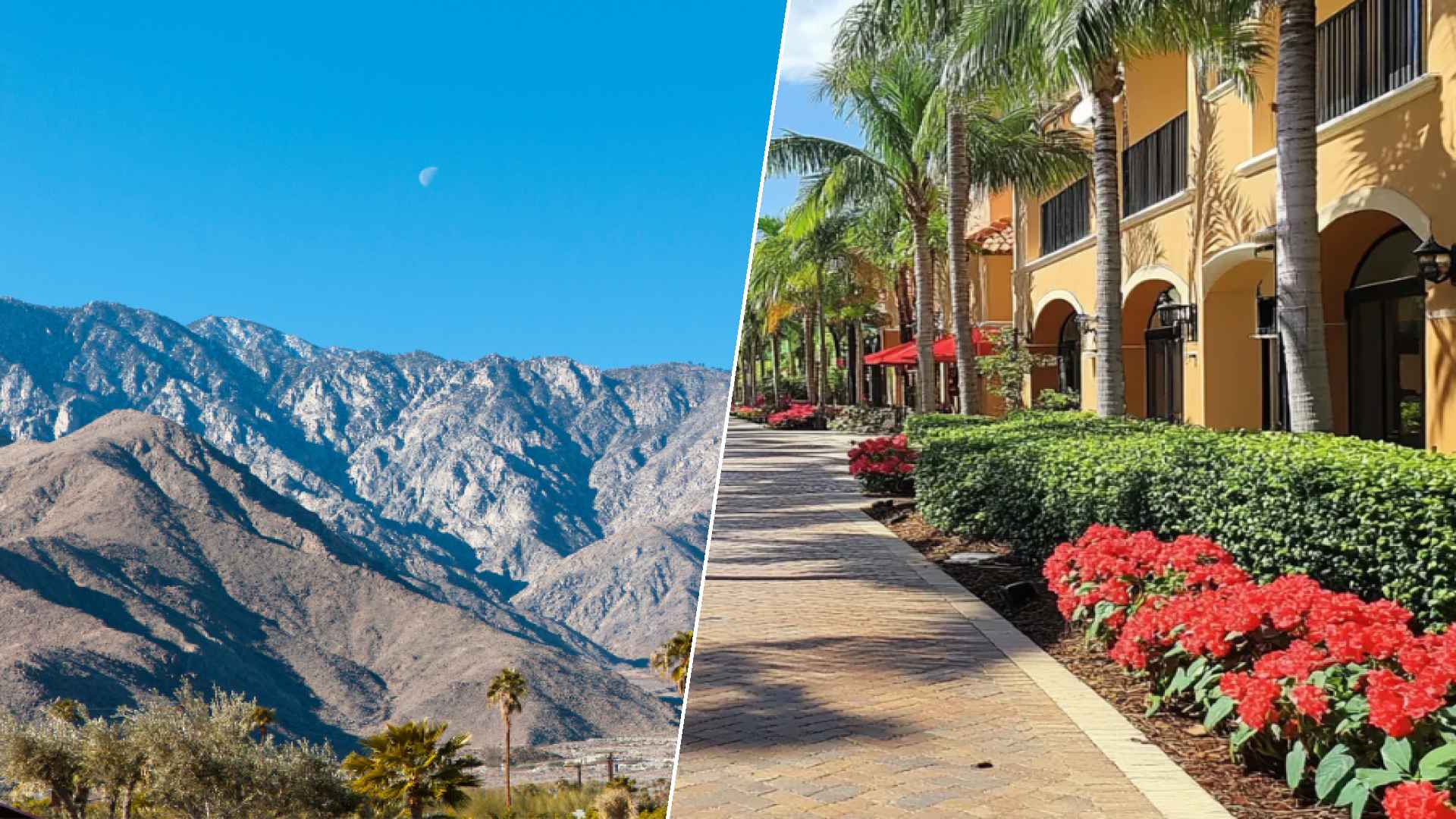 Palm Springs to Hialeah