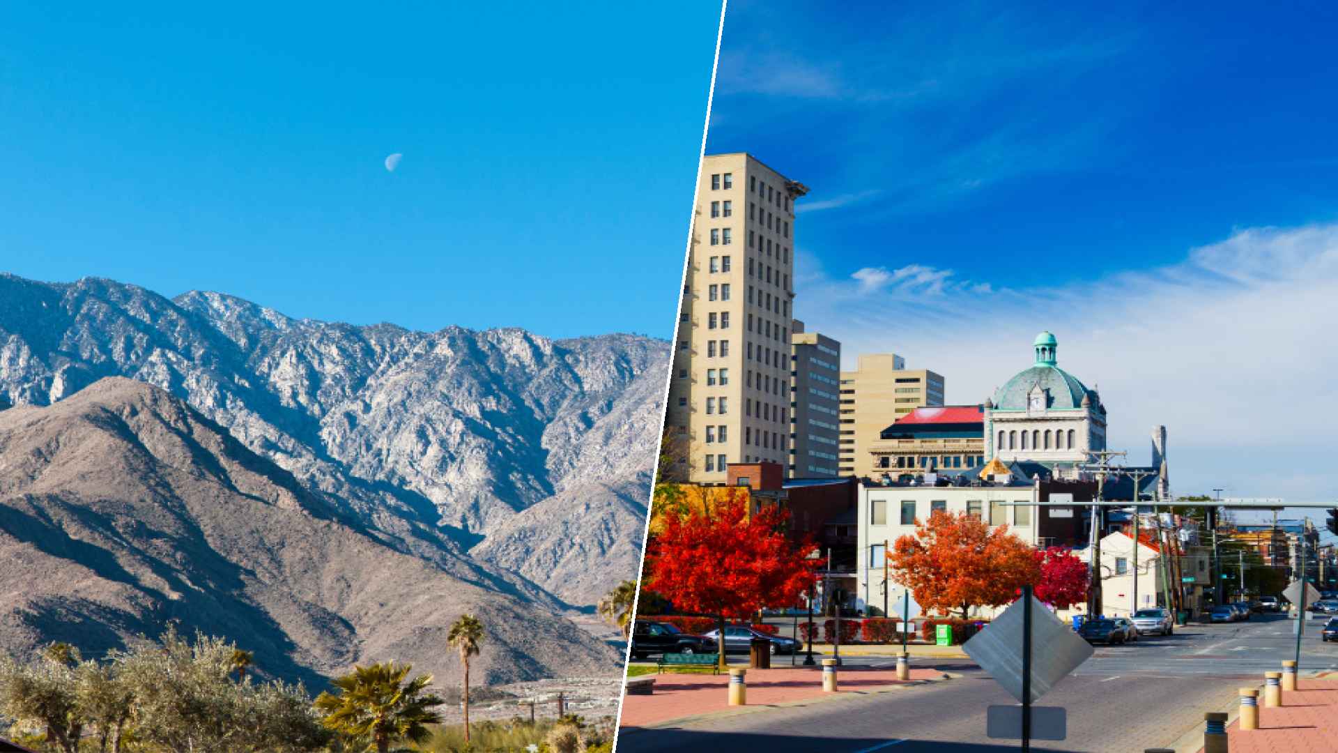 Palm Springs to Lexington