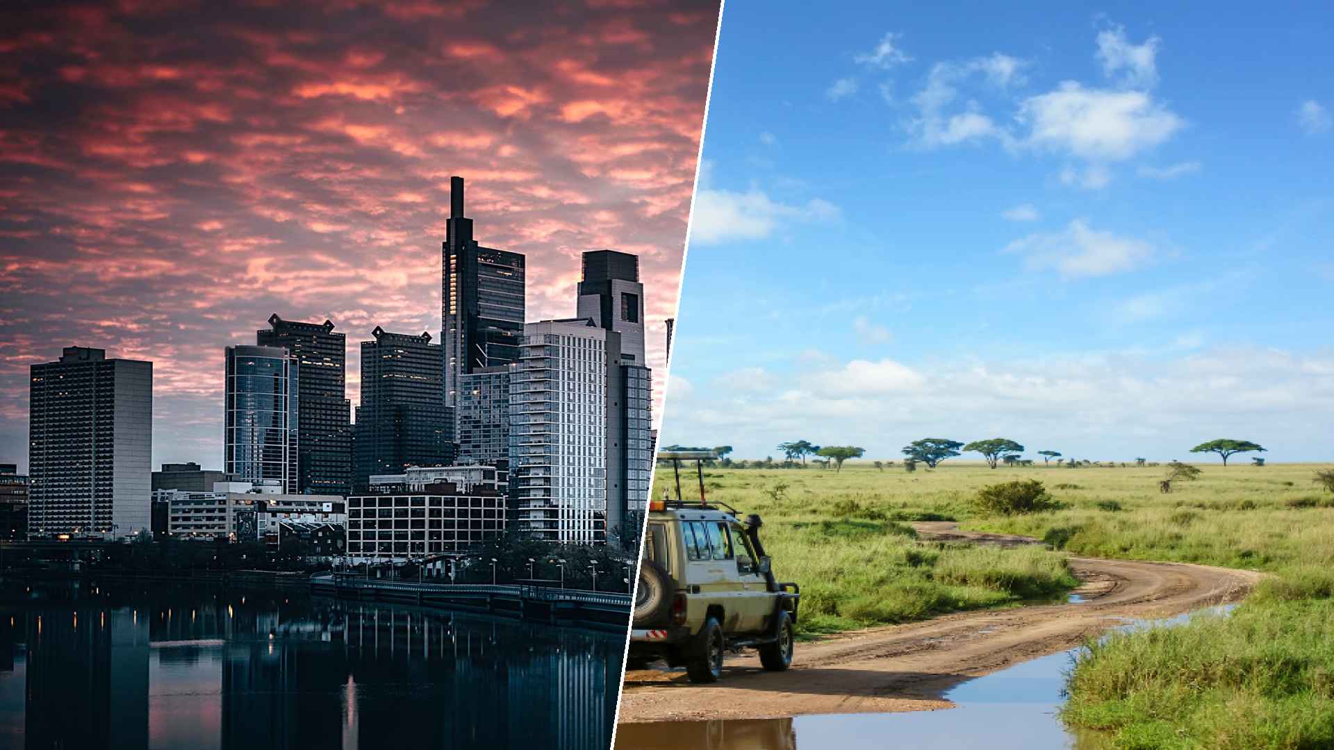 Philadelphia to Serengeti