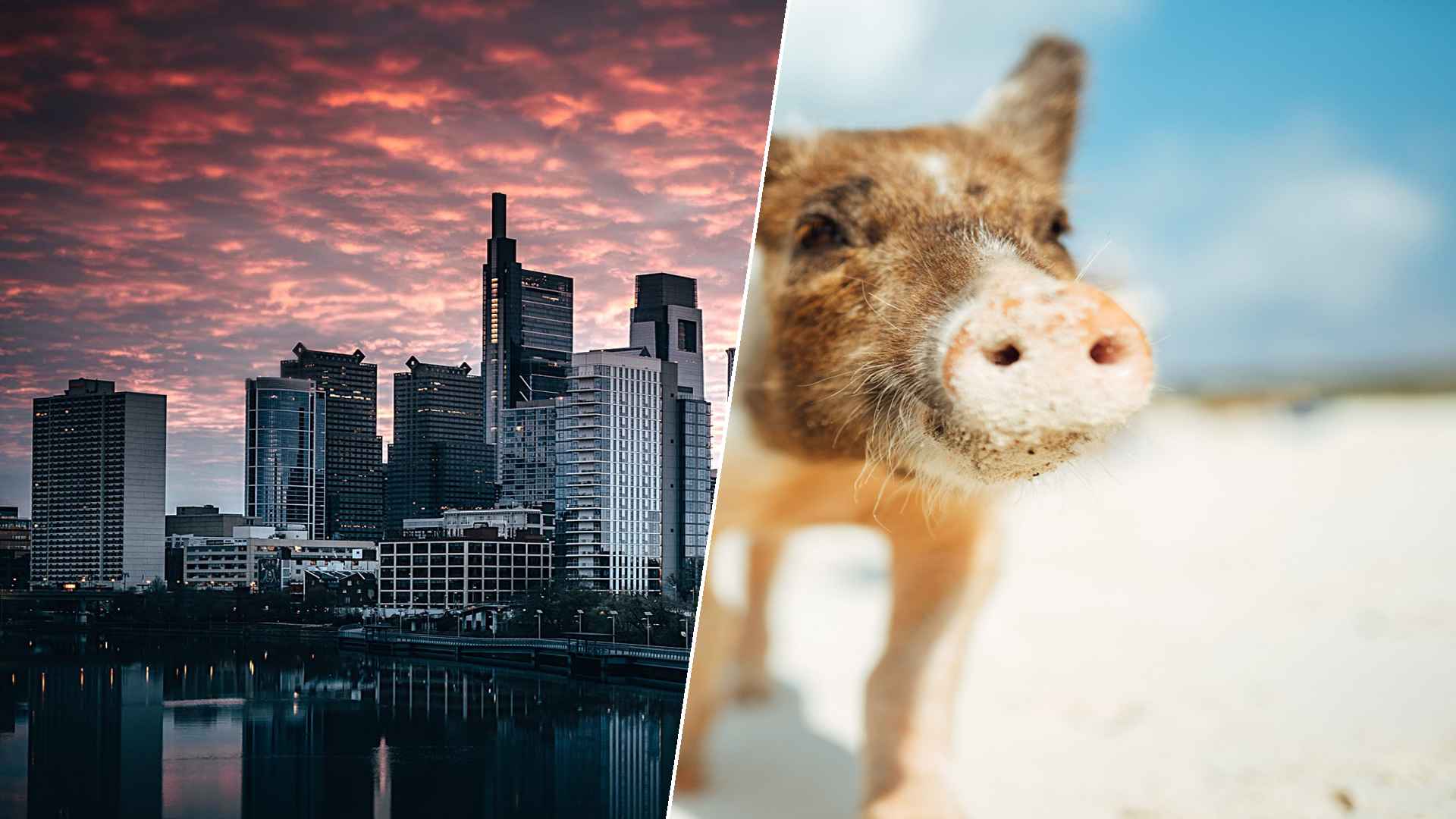 Philadelphia to Staniel Cay