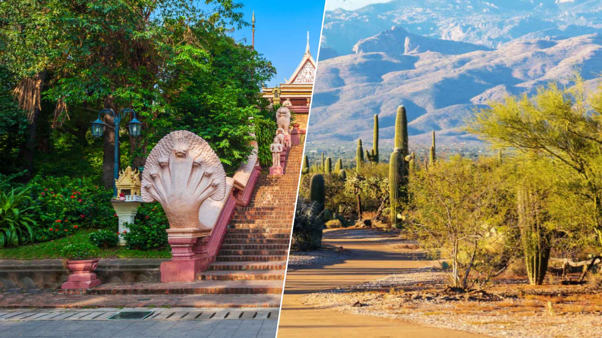 Phnom Penh to Glendale