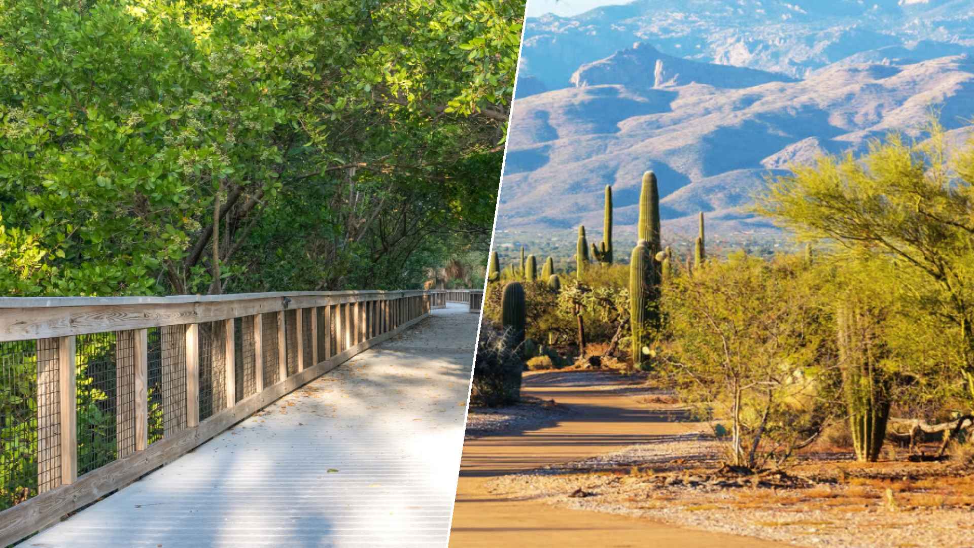 Port St. Lucie to Glendale