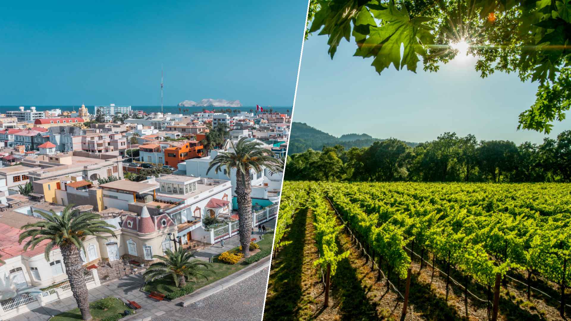 Punta Arenas to Napa