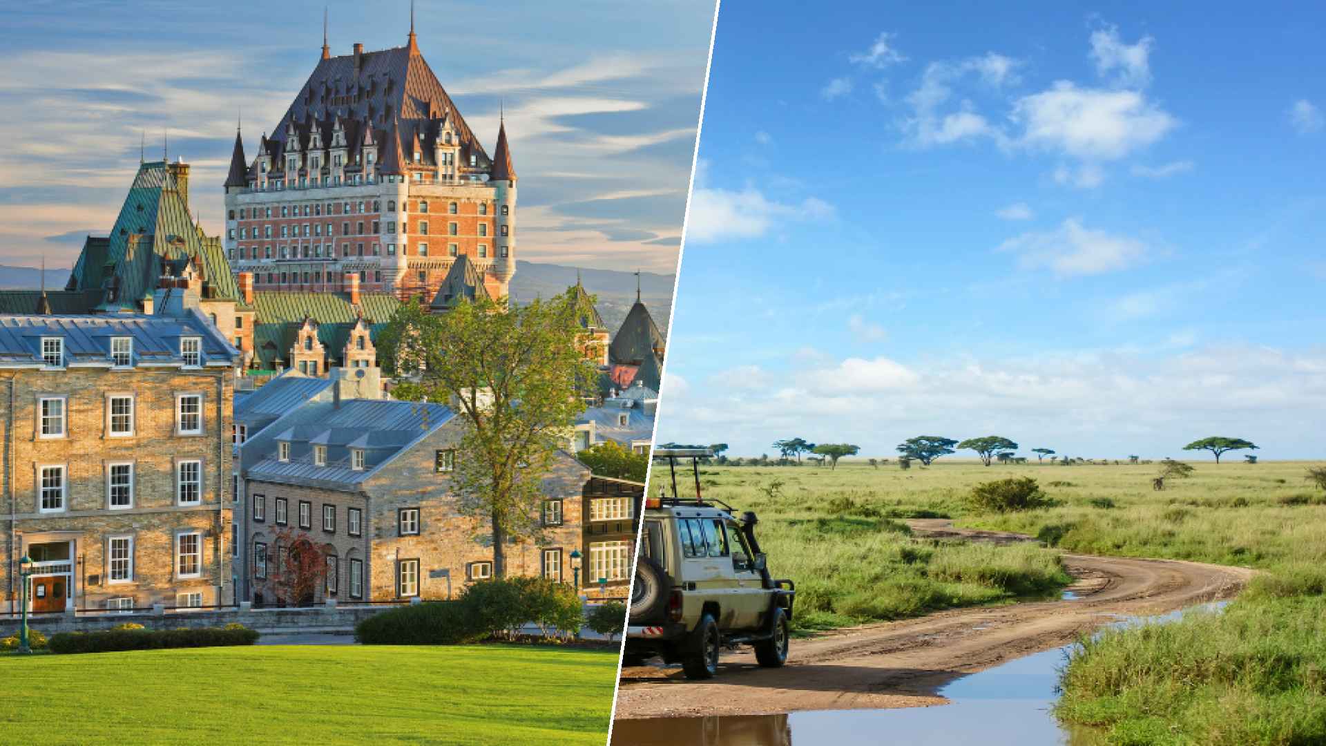 Quebec city to Serengeti