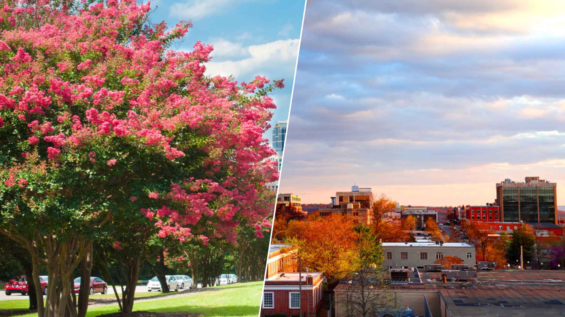 Raleigh to Fayetteville