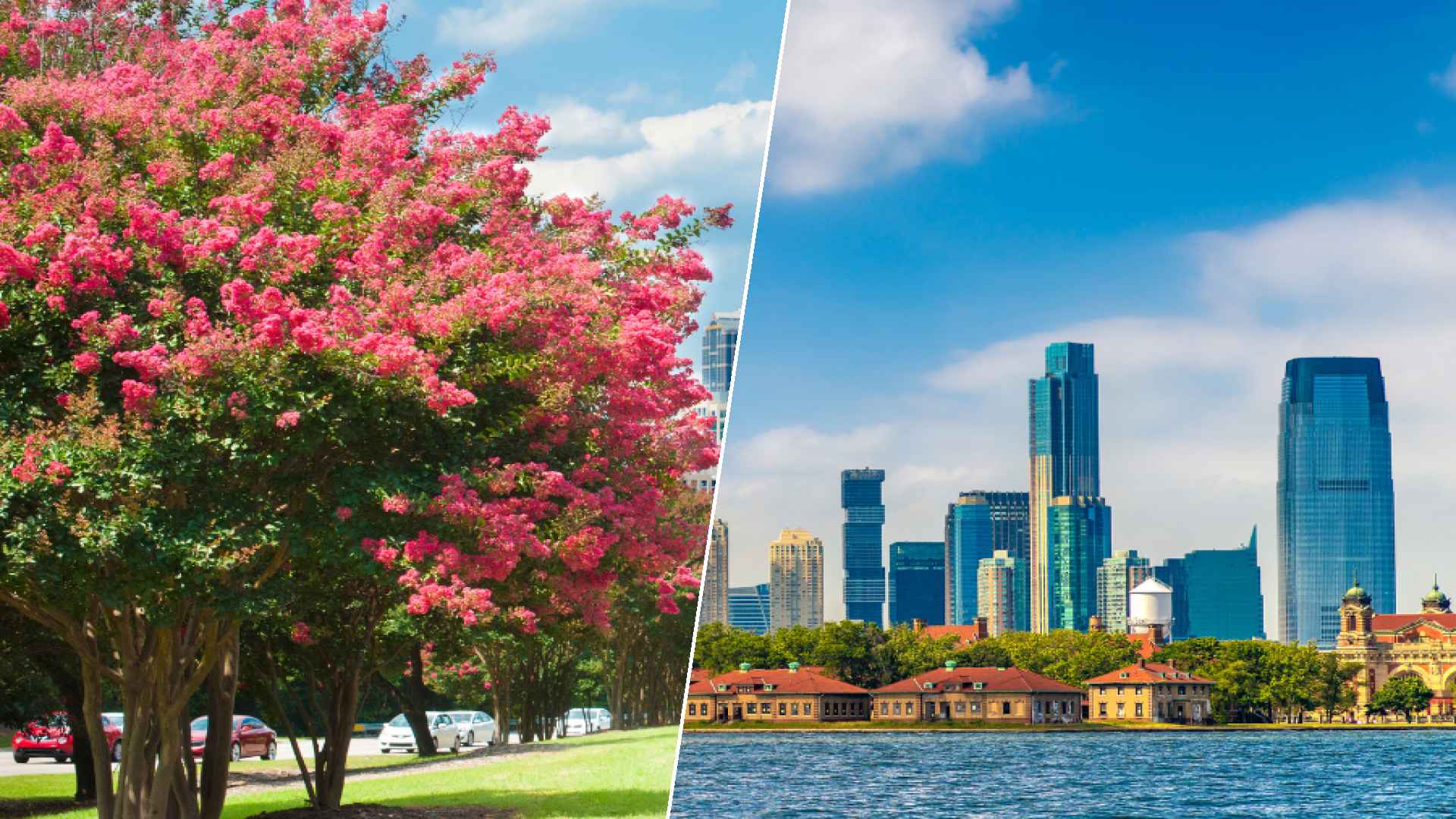 Raleigh to Jersey City