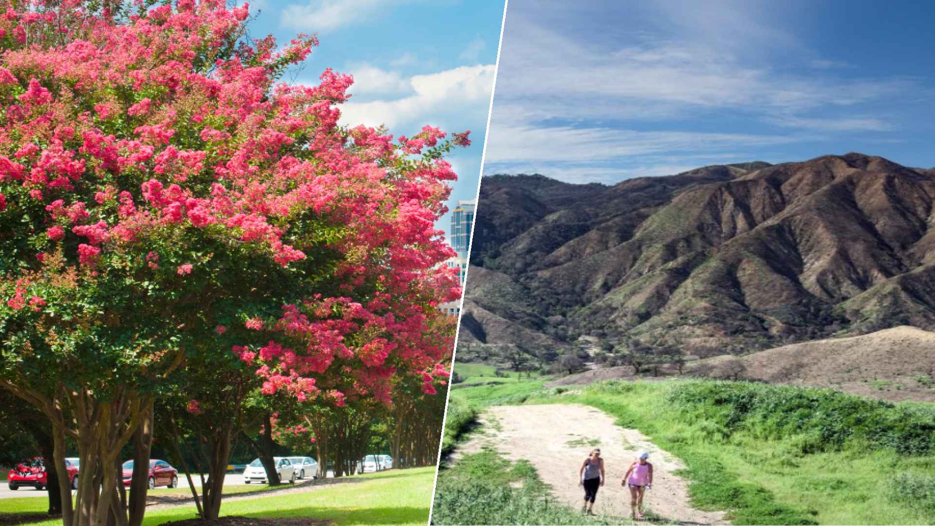 Raleigh to Santa Clarita