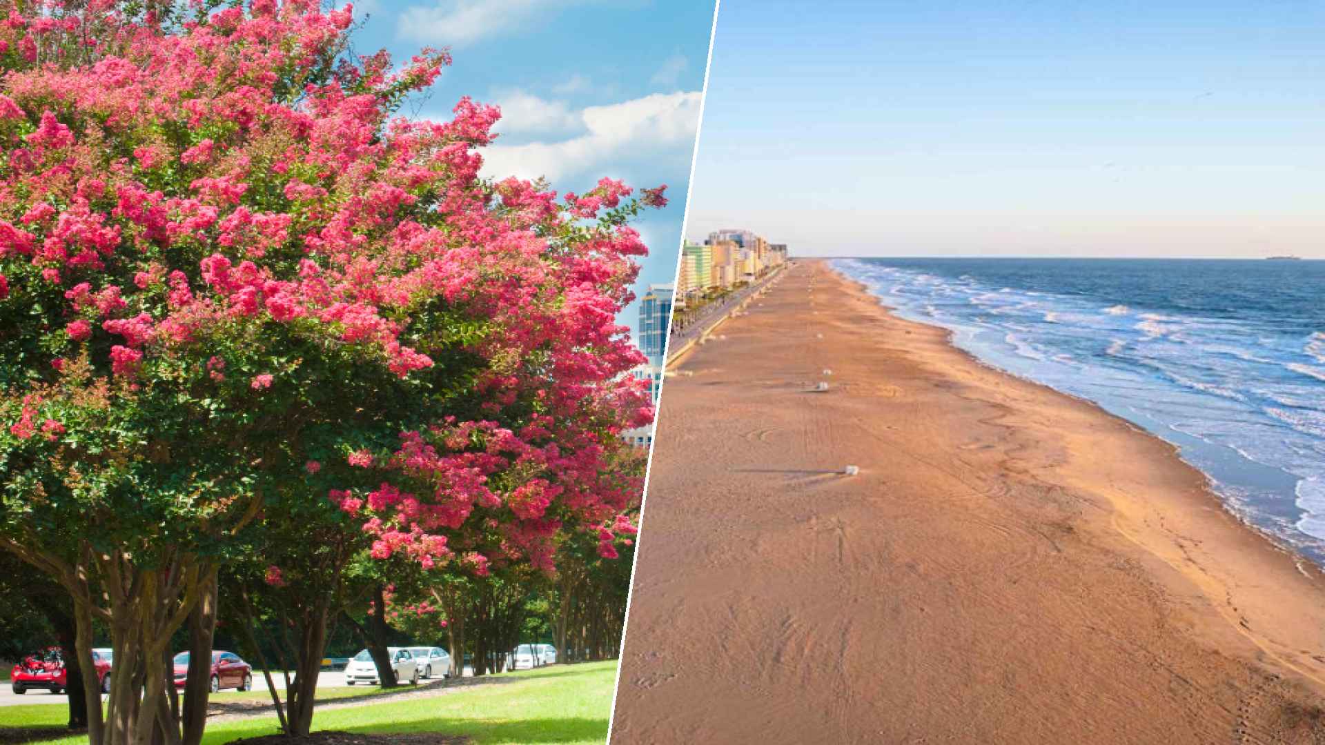 Raleigh to Virginia Beach