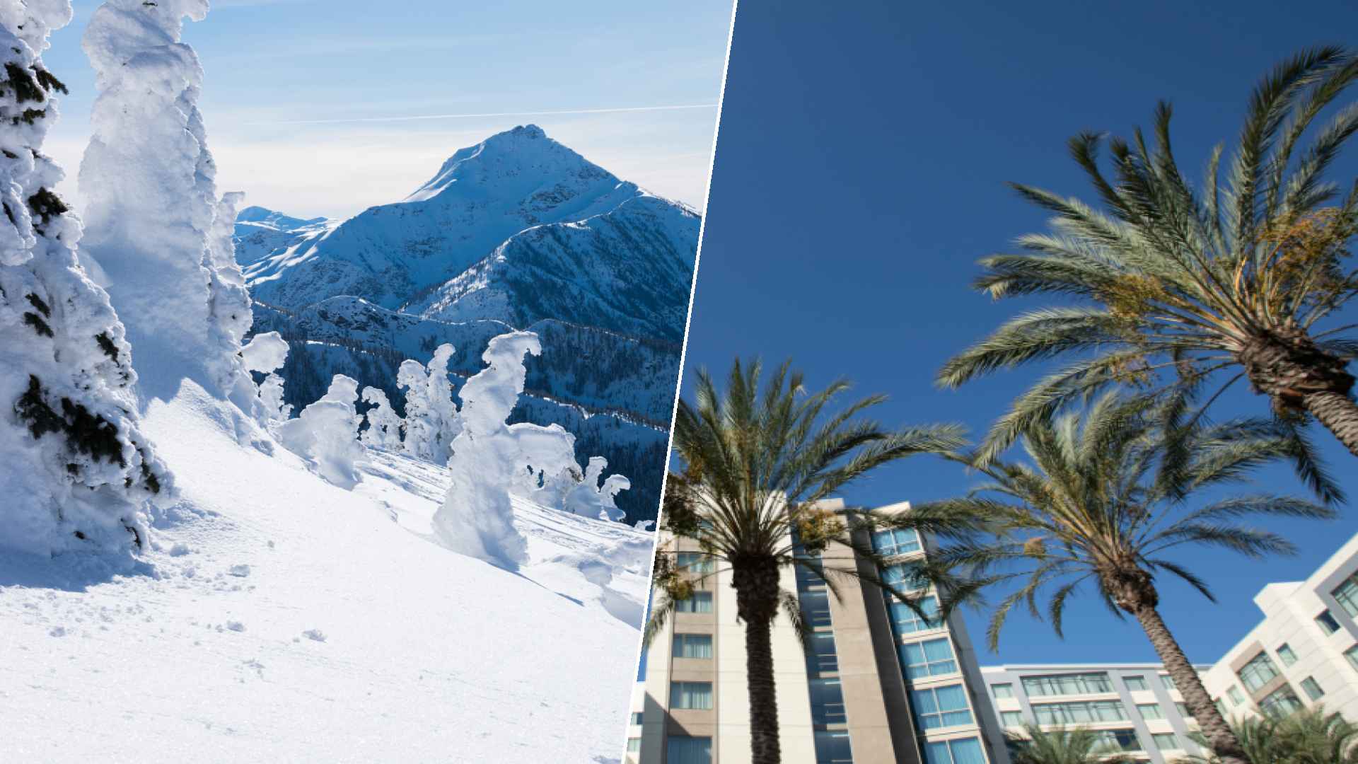 Revelstoke to Anaheim