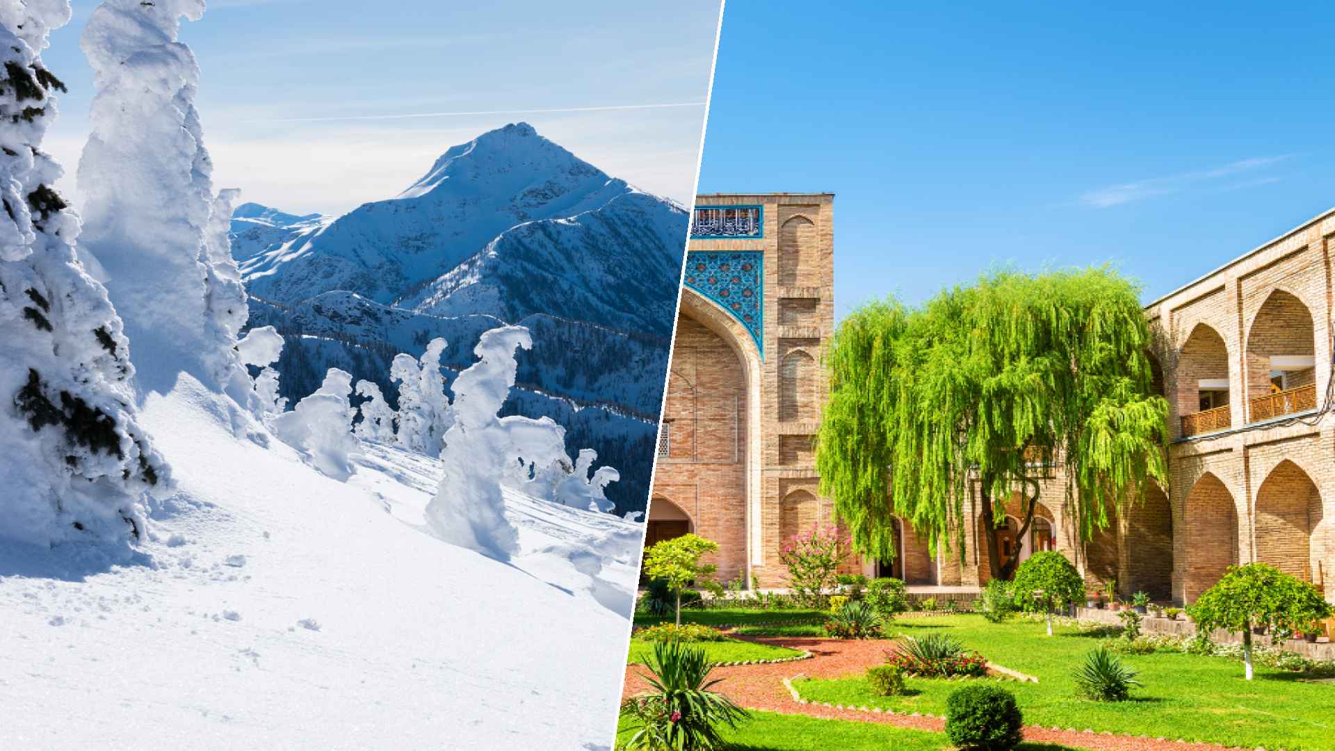 Revelstoke to Tashkent