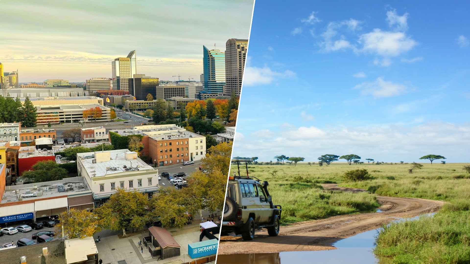 Sacramento to Serengeti