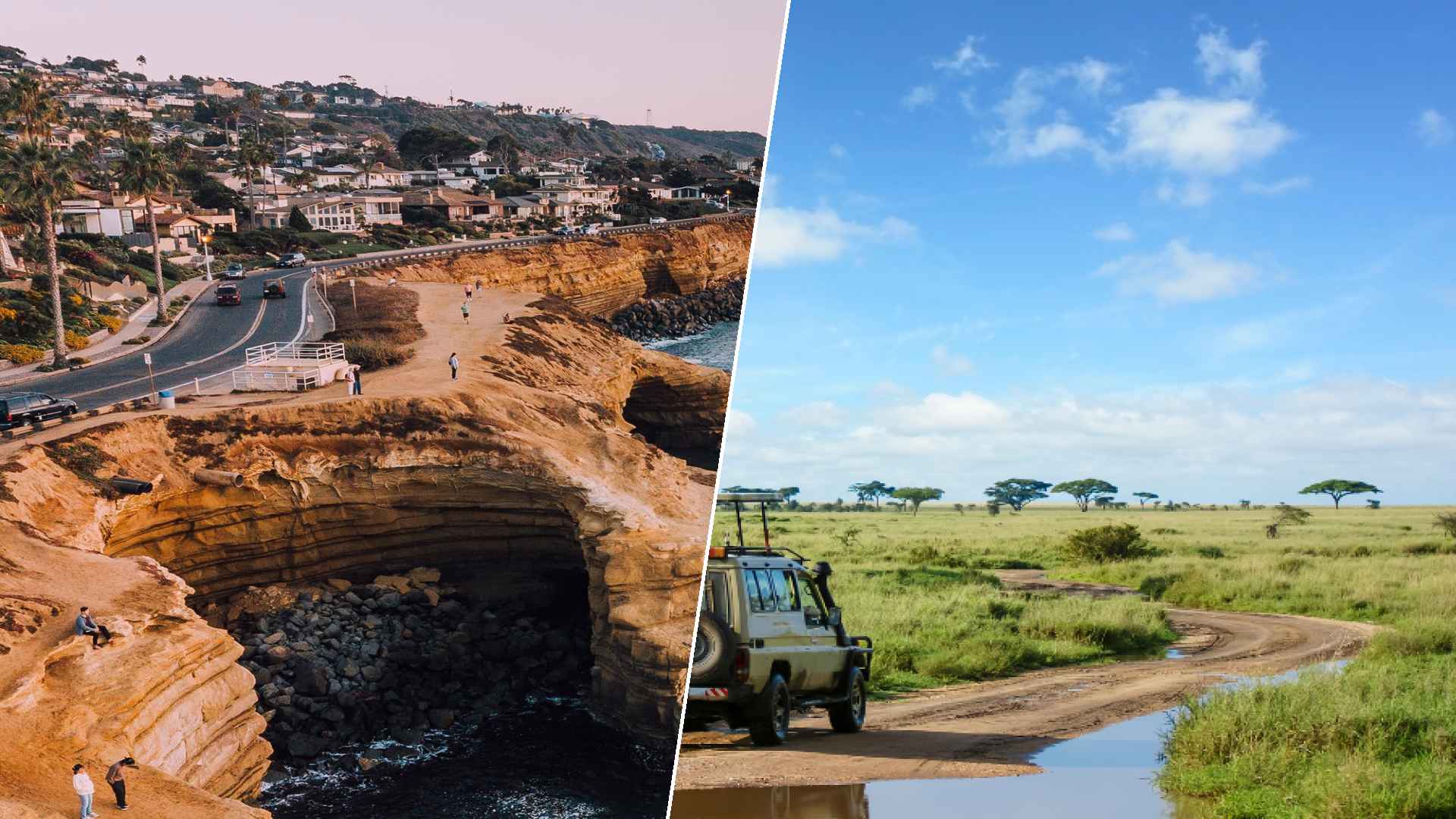 San Diego to Serengeti