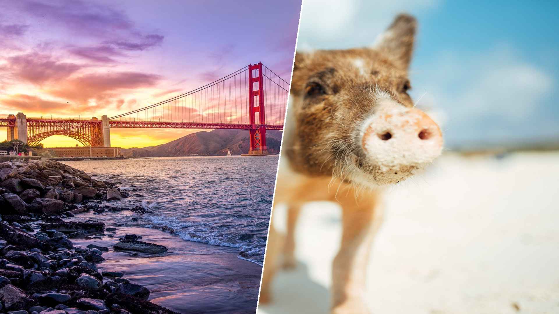 San Francisco to Staniel Cay