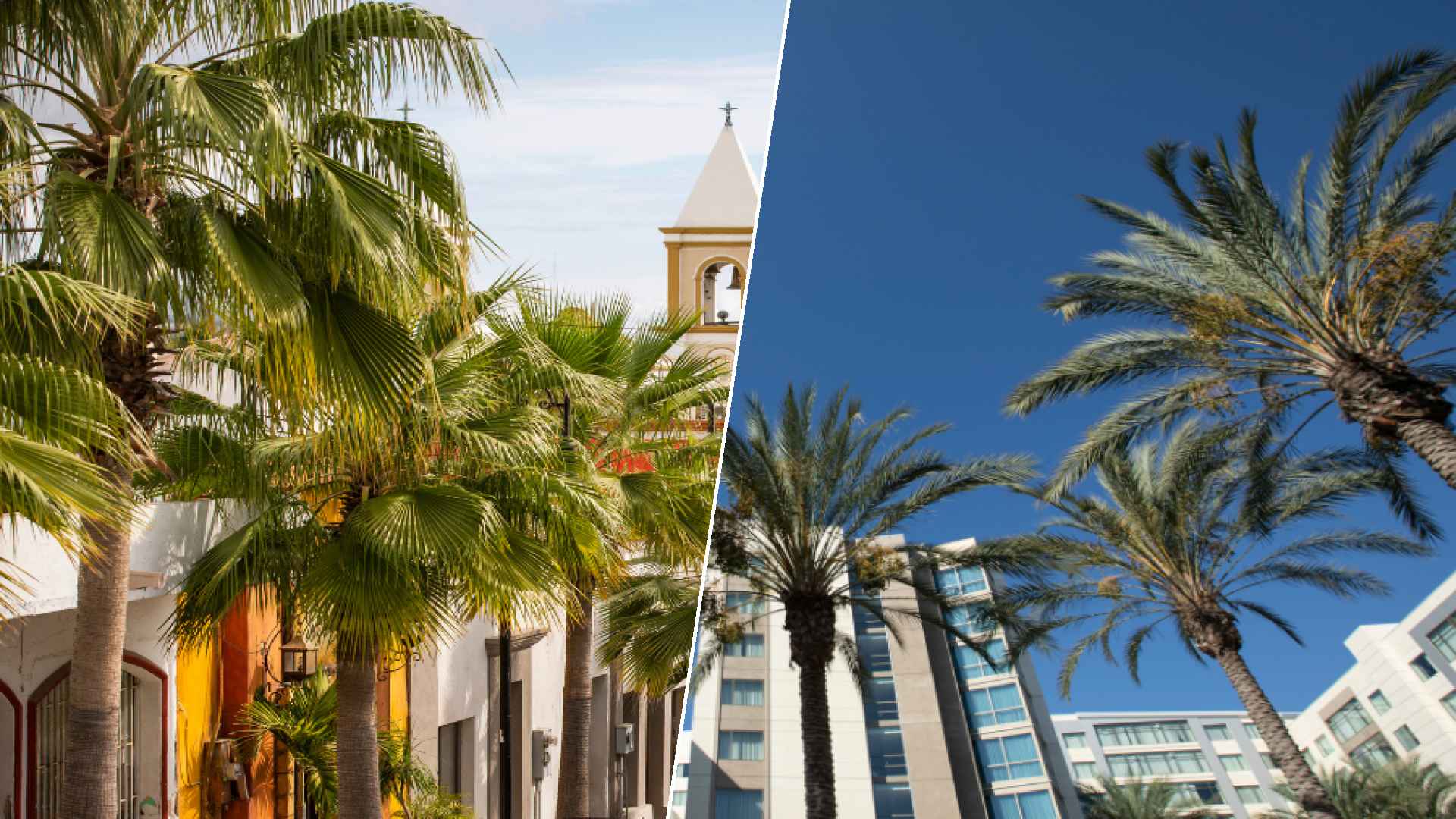 San José del Cabo to Anaheim