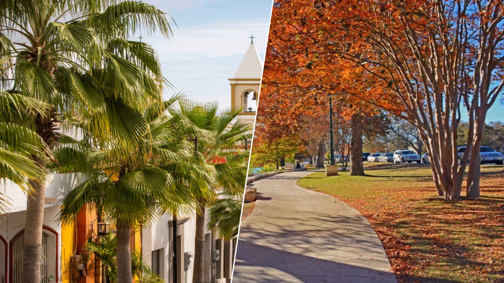 San José del Cabo to Boerne