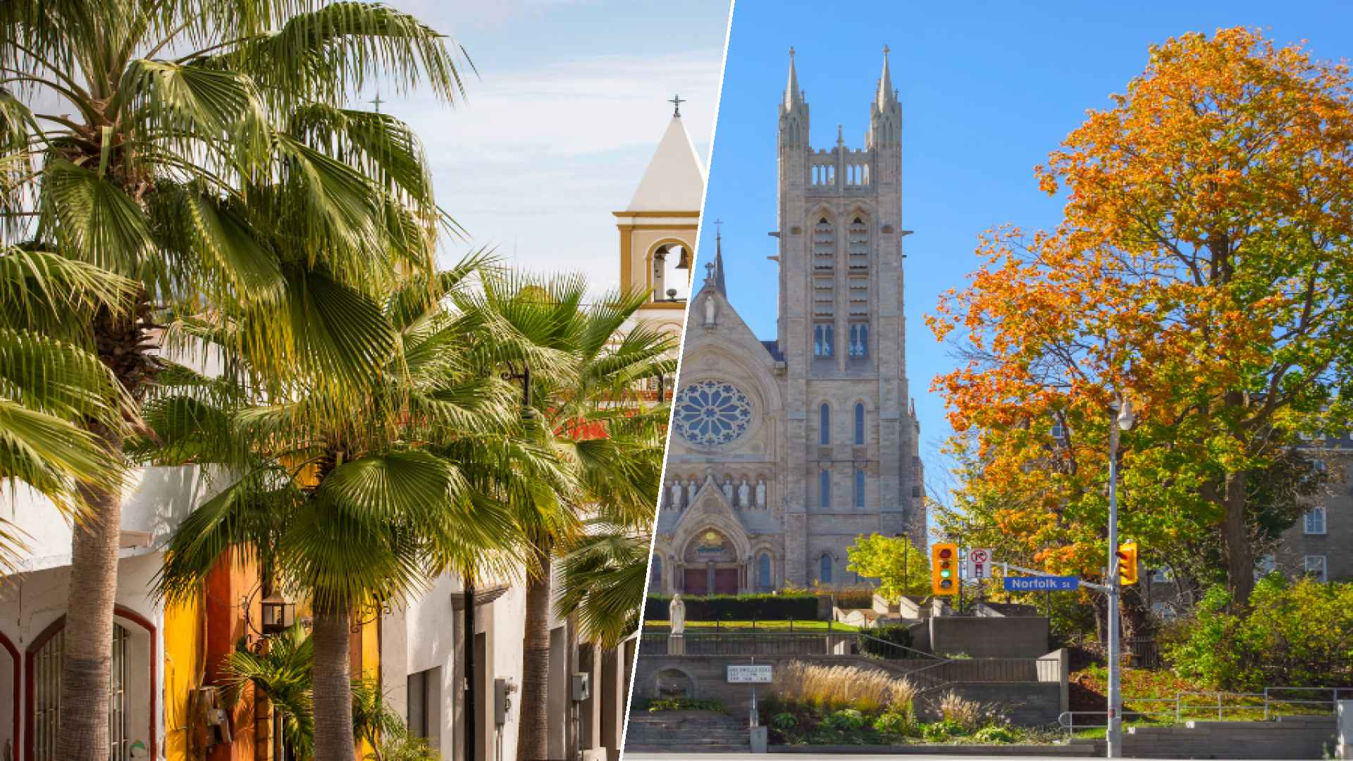 San José del Cabo to Guelph