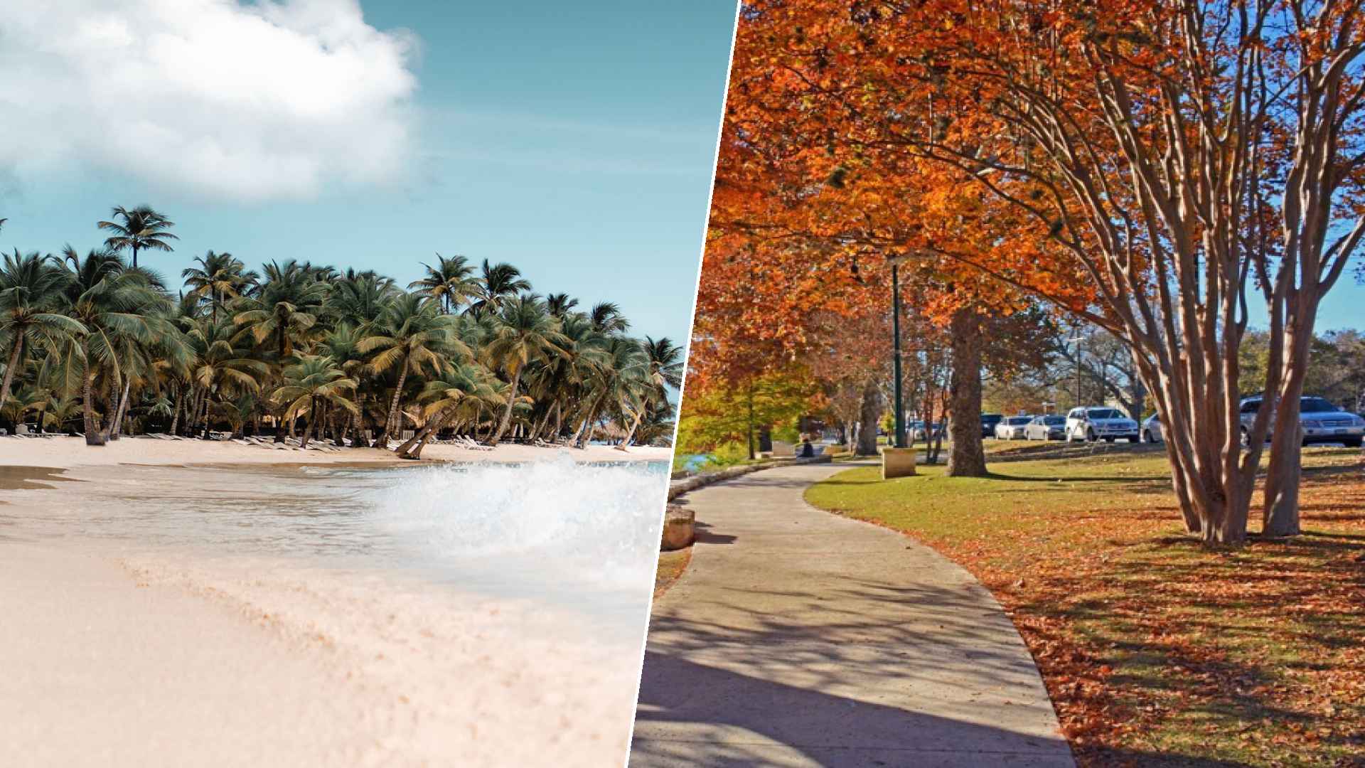 Santo Domingo to Boerne