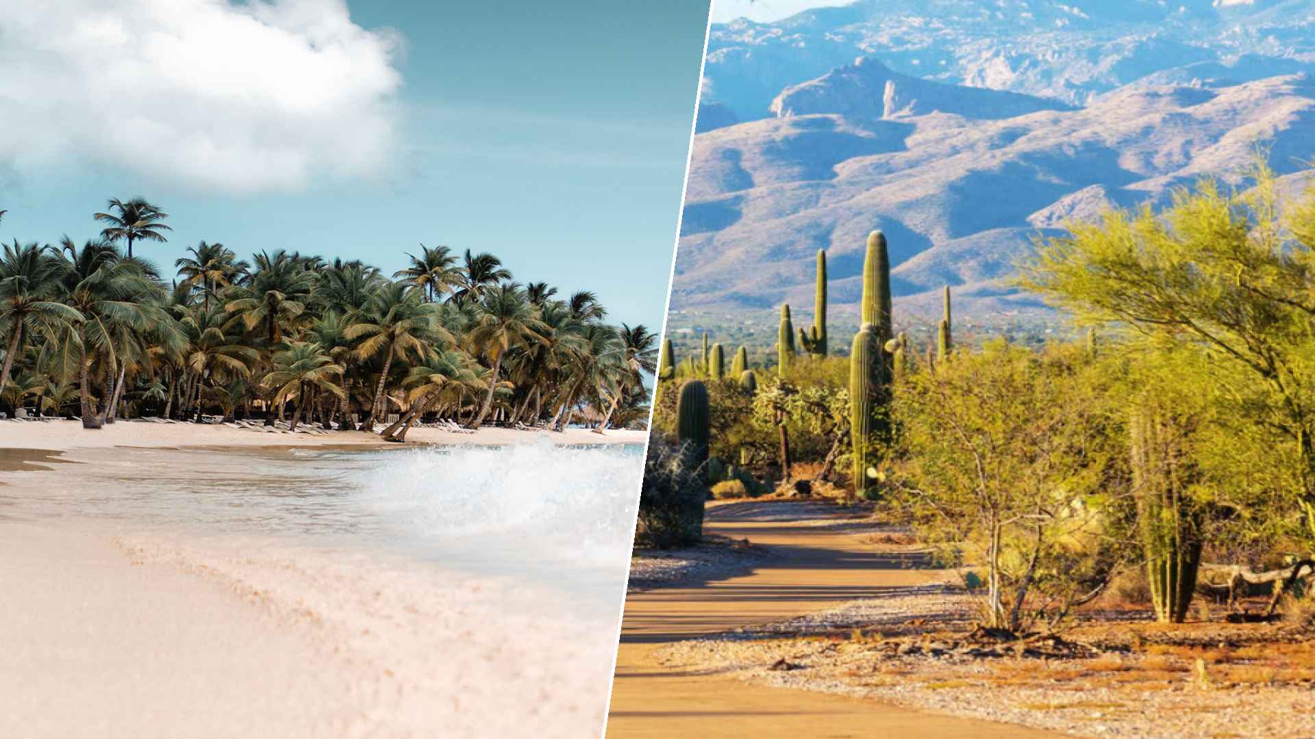 Santo Domingo to Glendale