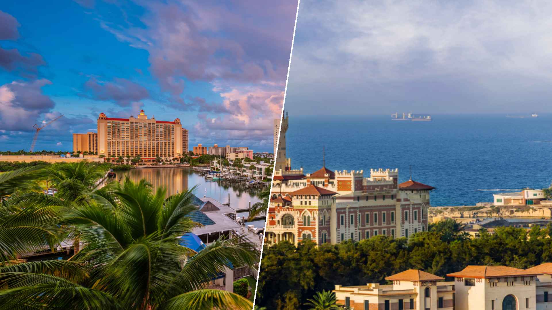 Sarasota to Alexandria