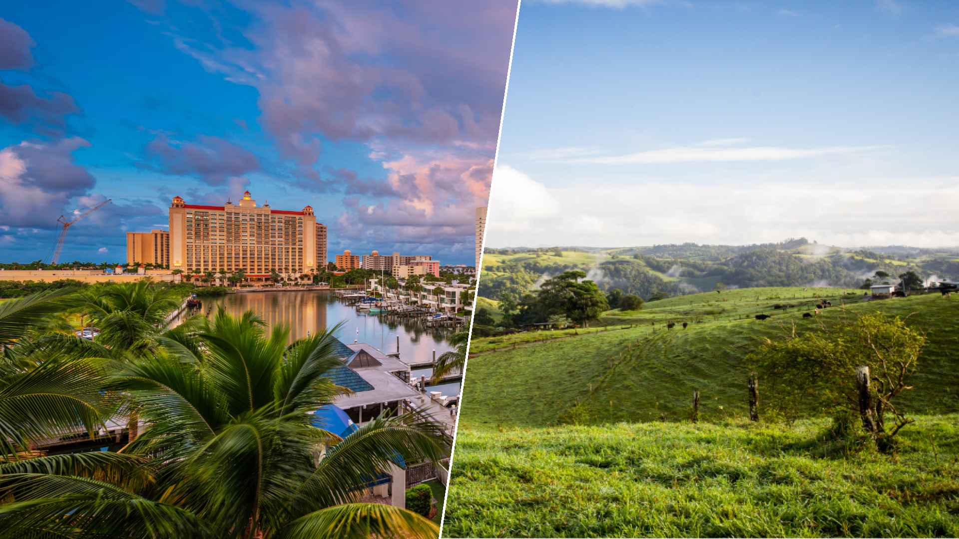 Sarasota to Atherton