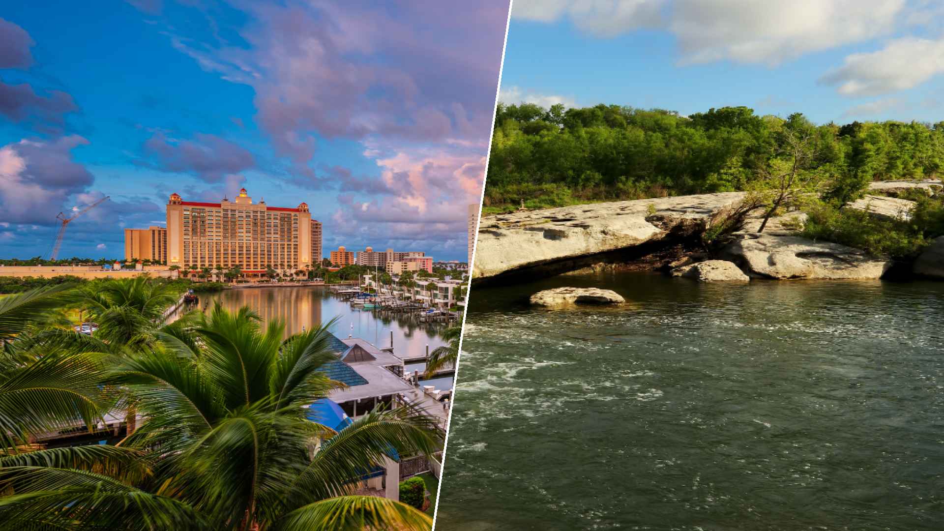 Sarasota to McKinney