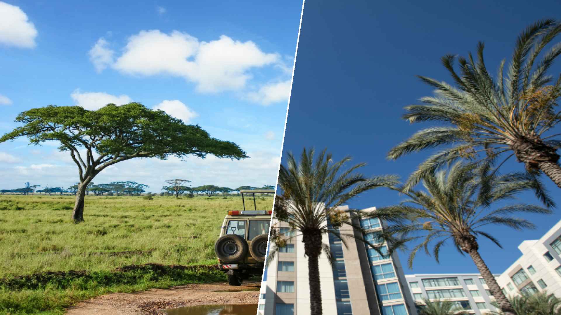 Serengeti to Anaheim