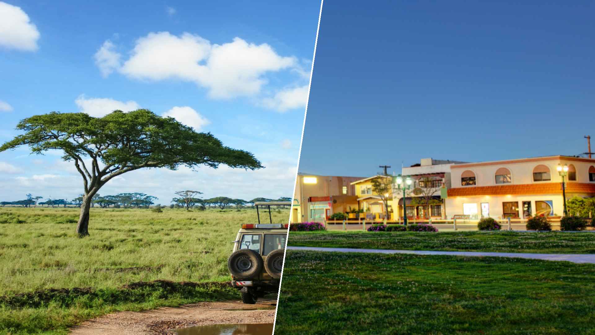 Serengeti to Chula Vista