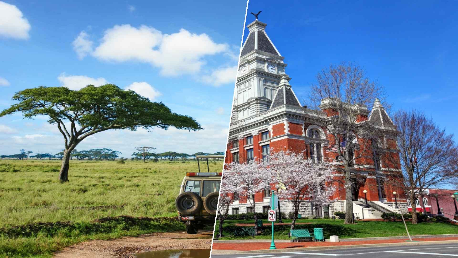 Serengeti to Clarksville