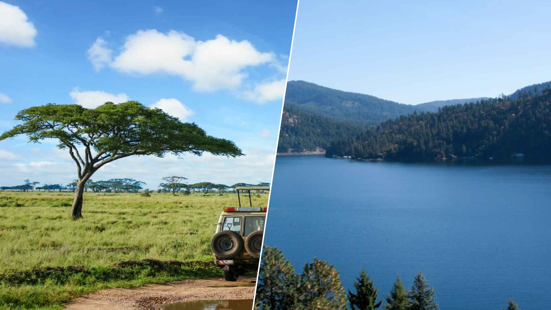 Serengeti to Coeur d’Alene