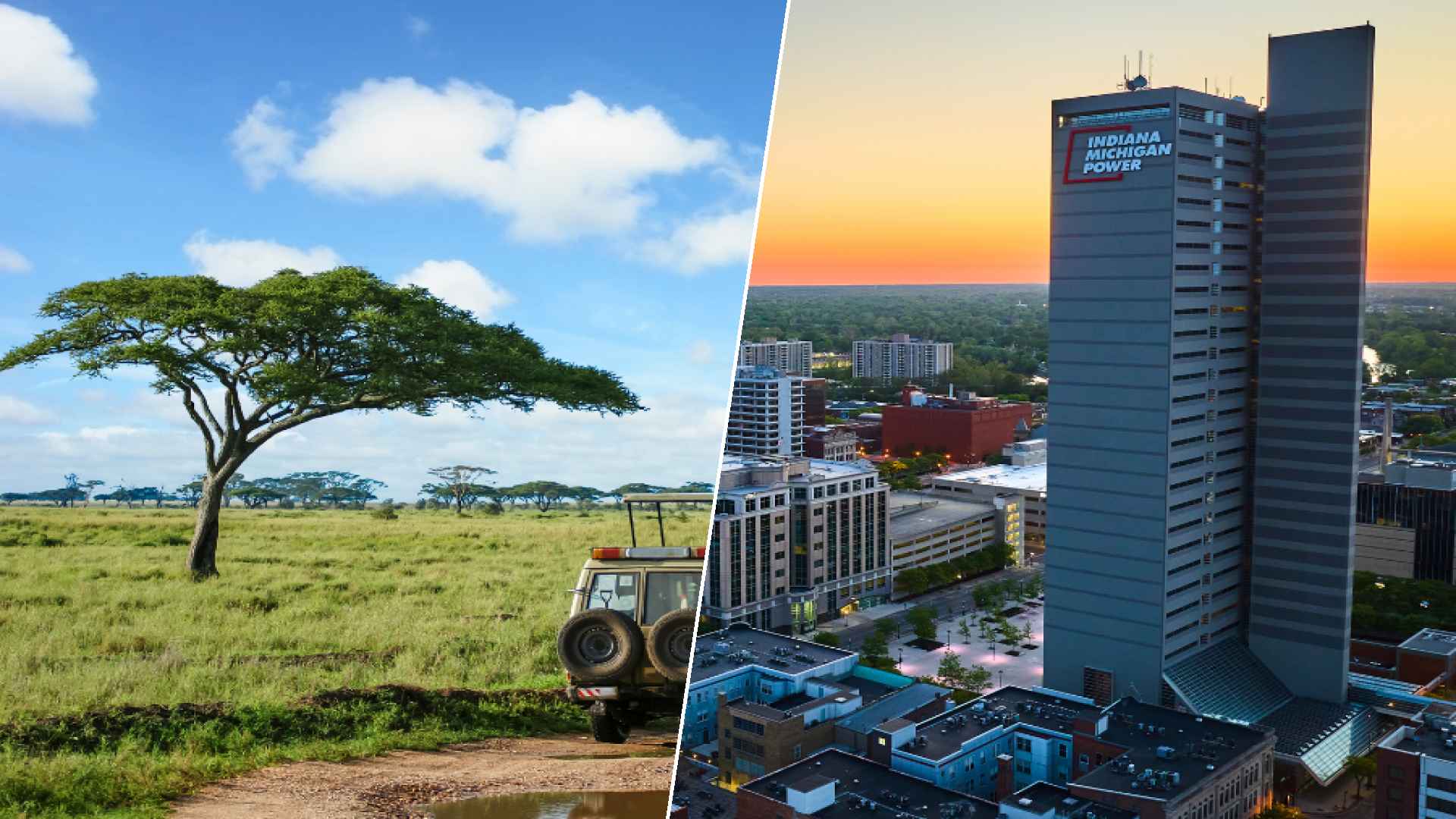 Serengeti to Fort Wayne