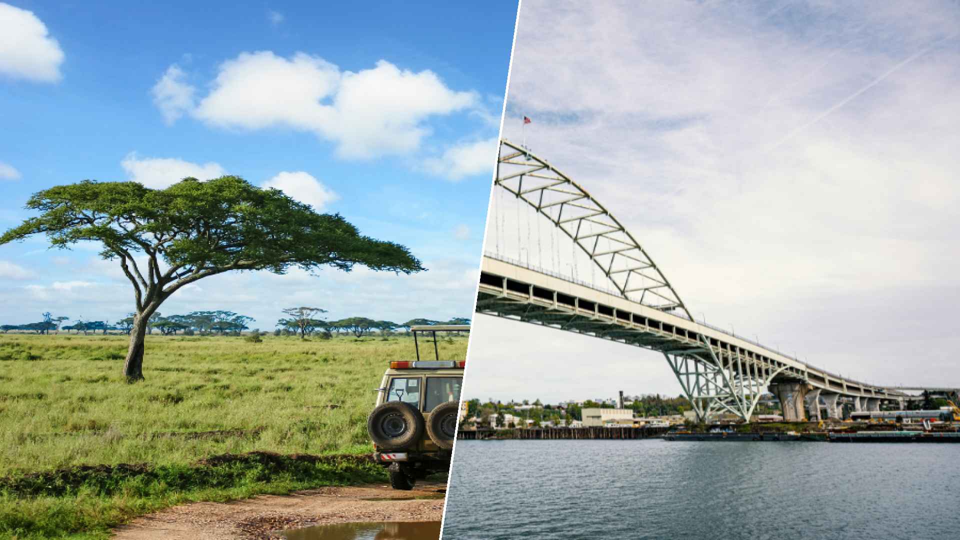 Serengeti to Fremont