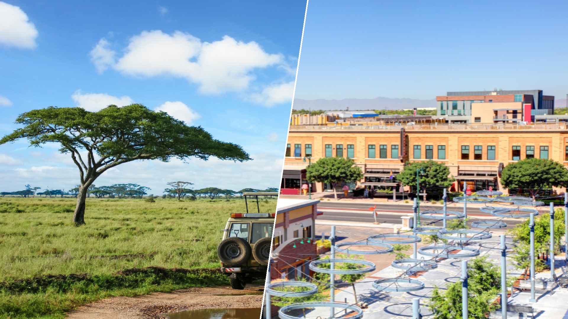 Serengeti to Gilbert