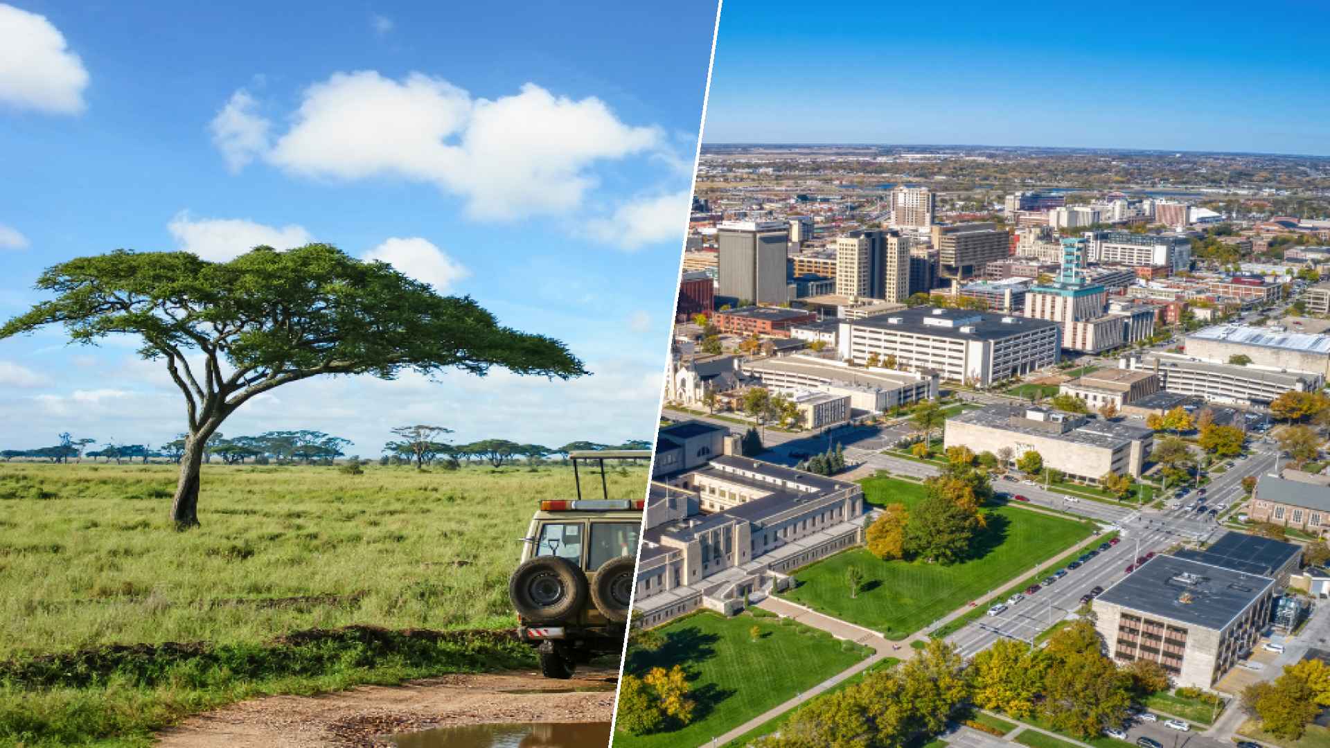 Serengeti to Lincoln