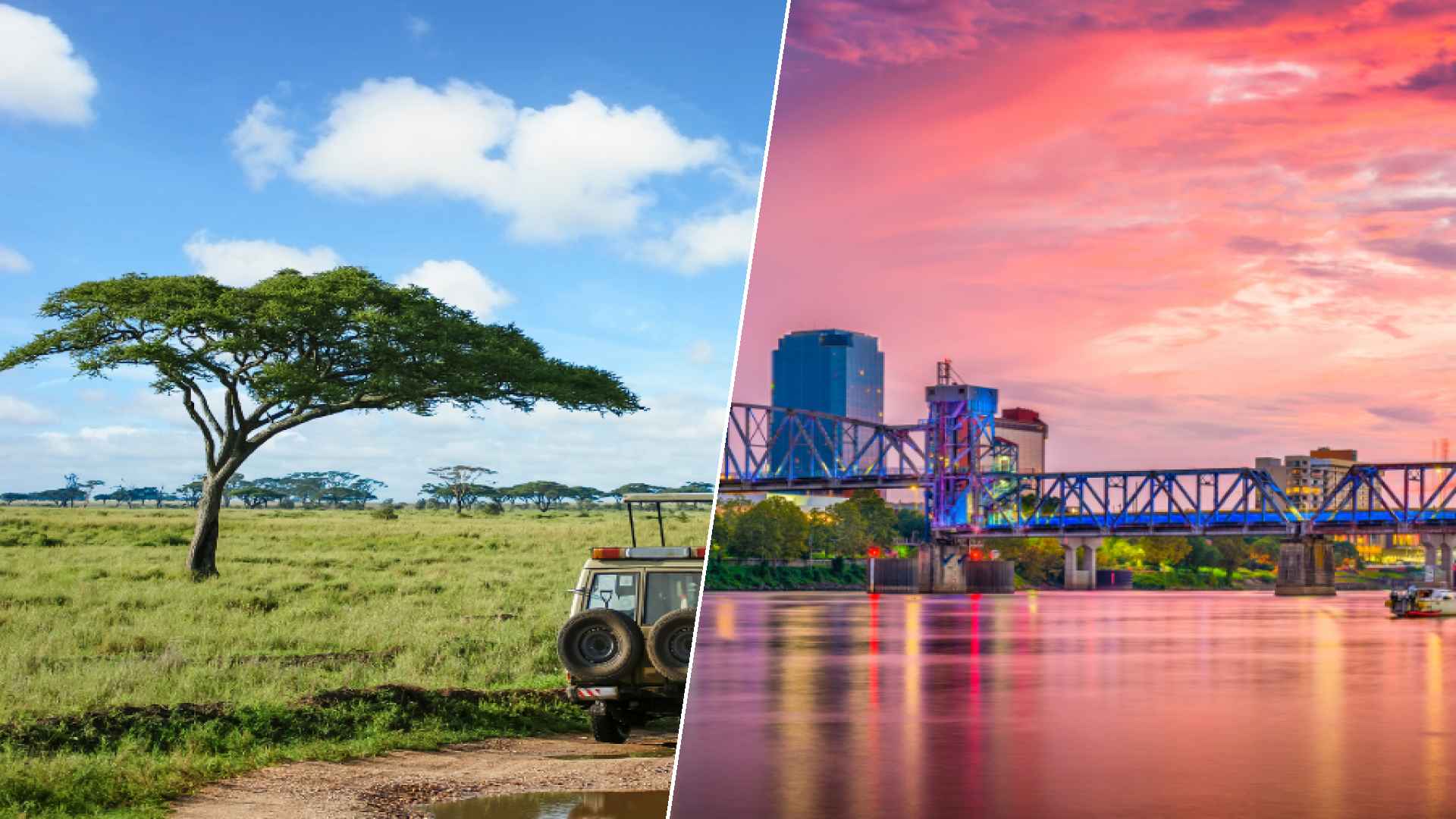 Serengeti to Little Rock