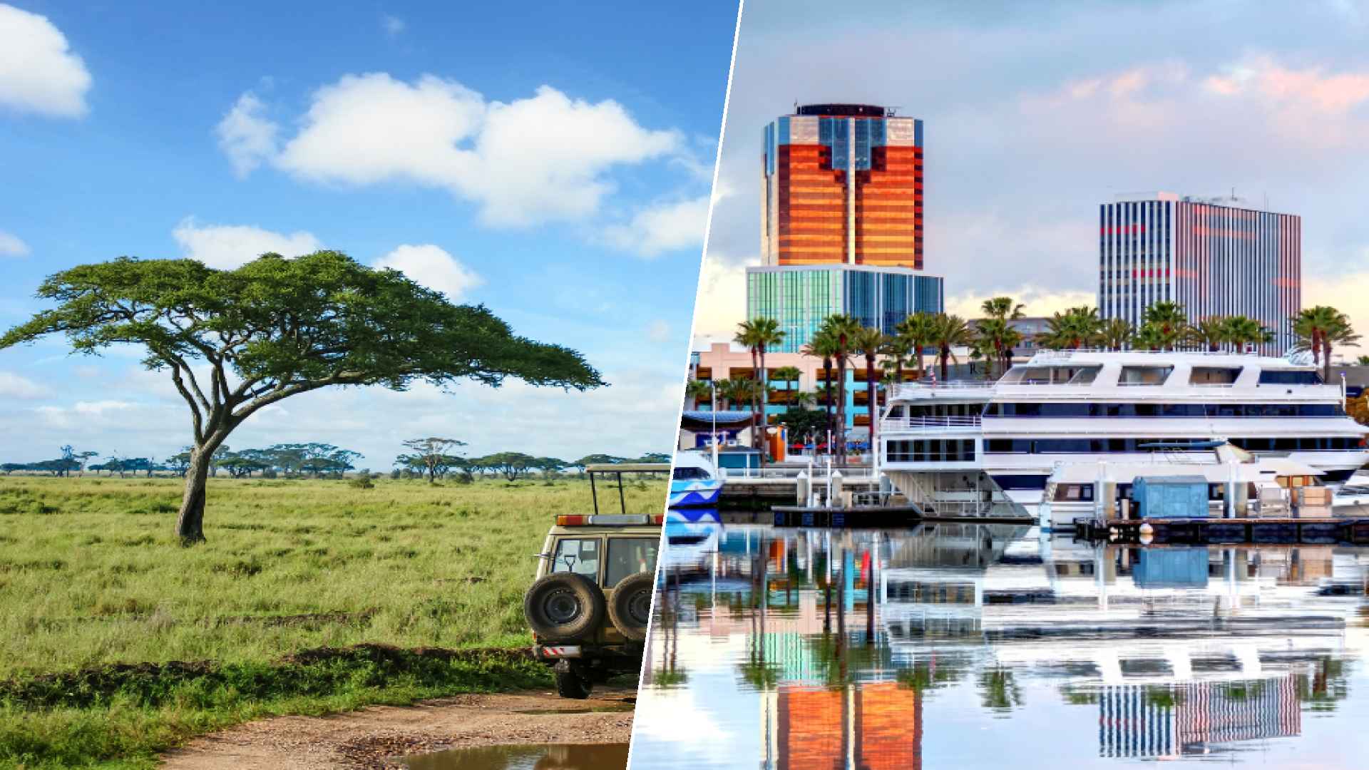 Serengeti to Long Beach