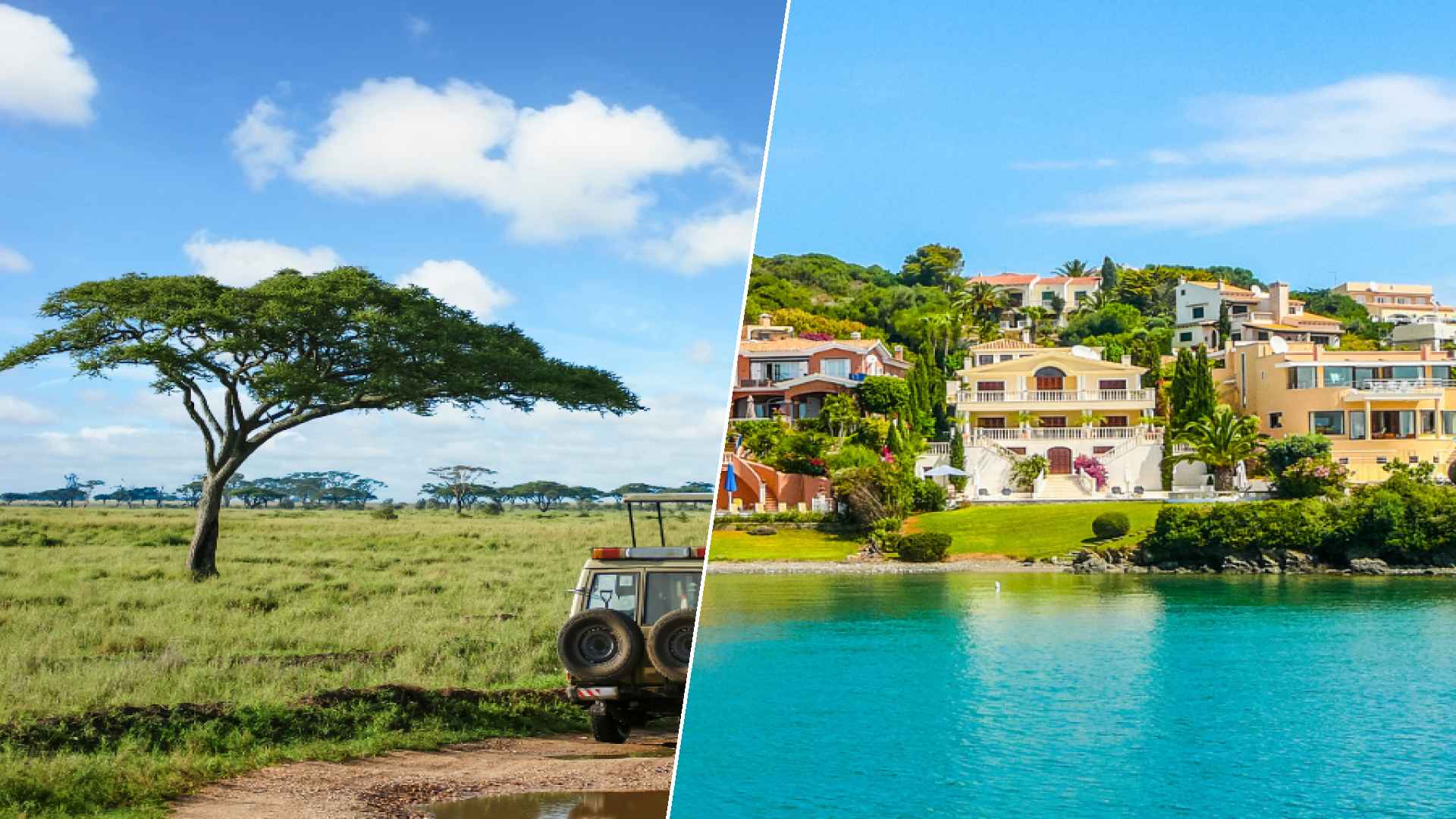 Serengeti to Menorca