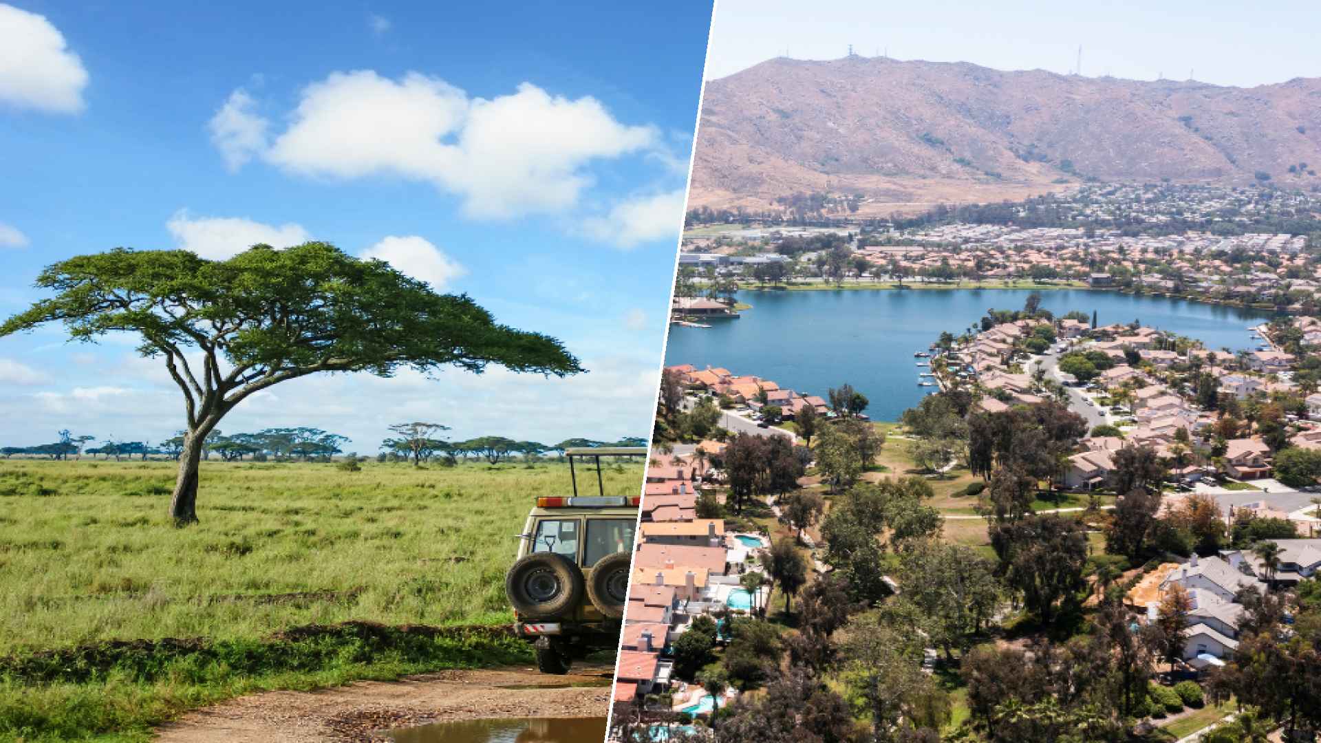 Serengeti to Moreno Valley