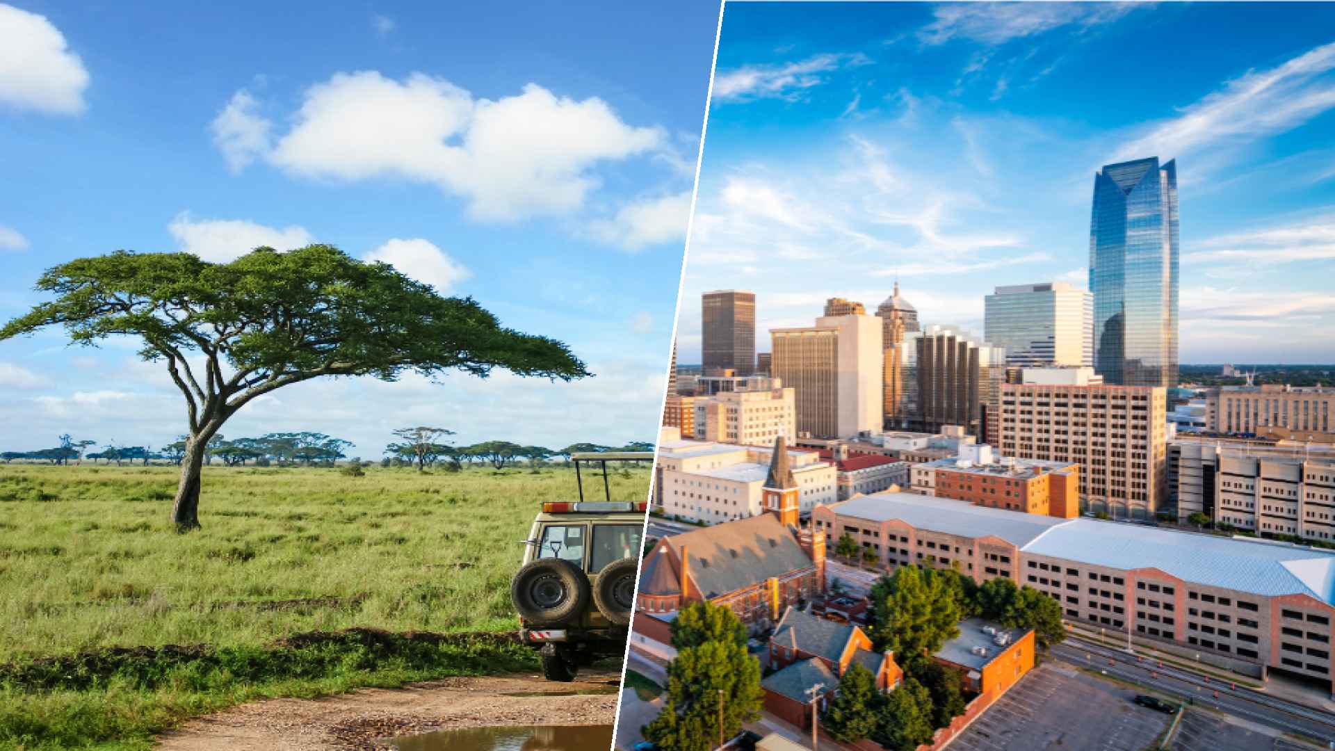 Serengeti to Oklahoma City