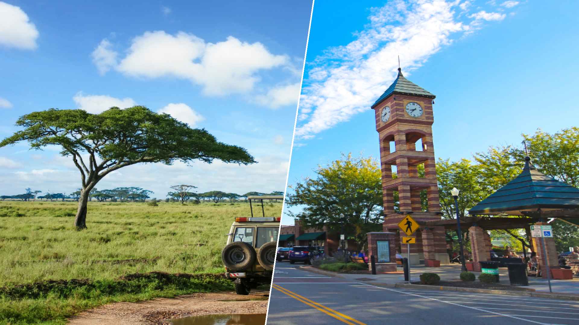 Serengeti to Overland Park