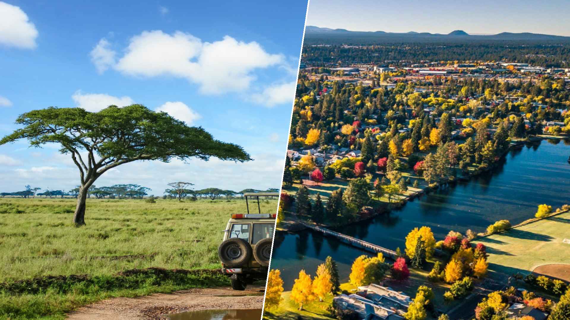 Serengeti to Red Deer