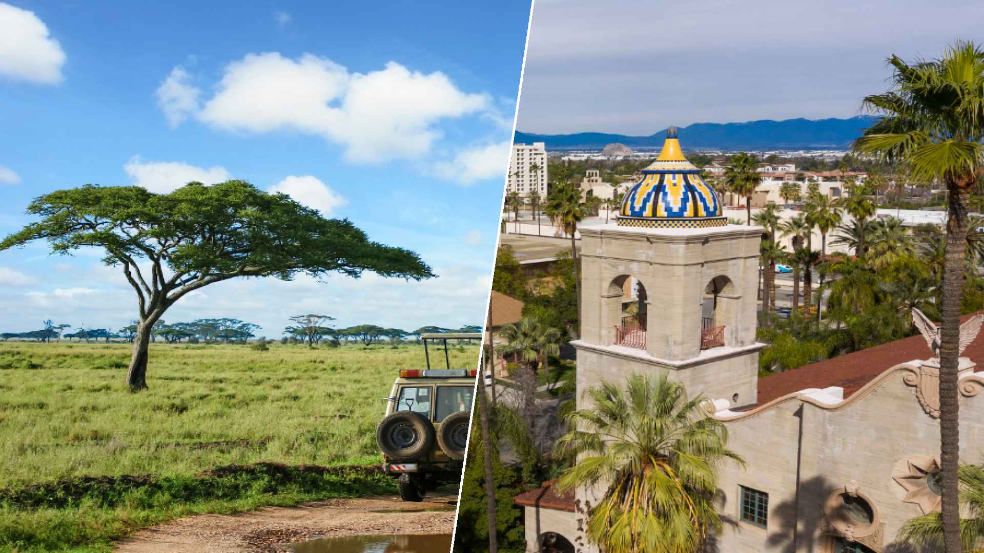 Serengeti to Riverside