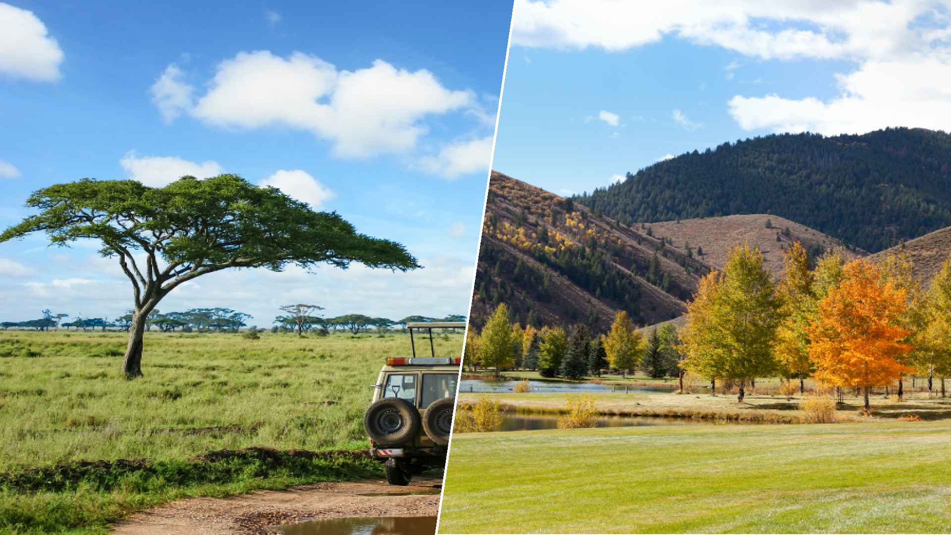 Serengeti to Sun valley