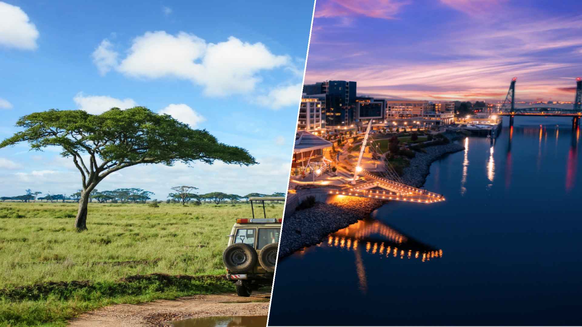 Serengeti to Vancouver