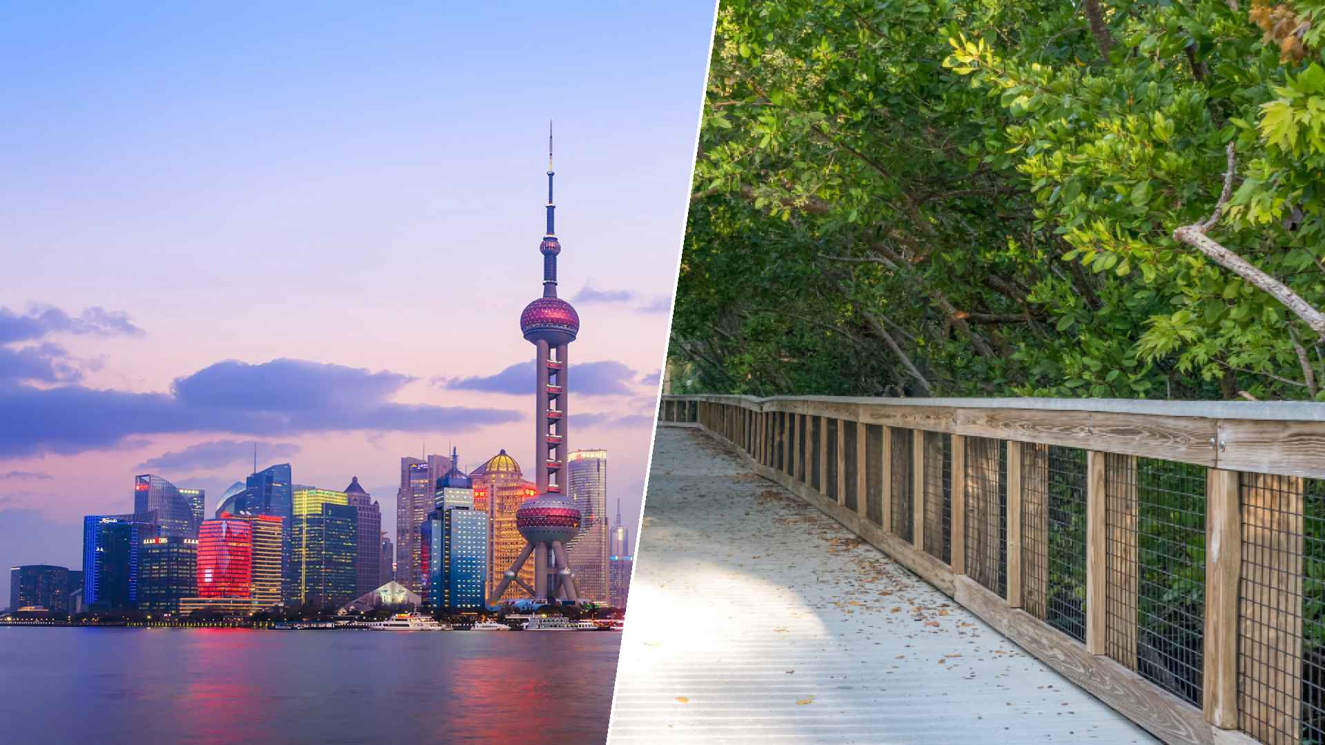 Shanghai to Port St. Lucie