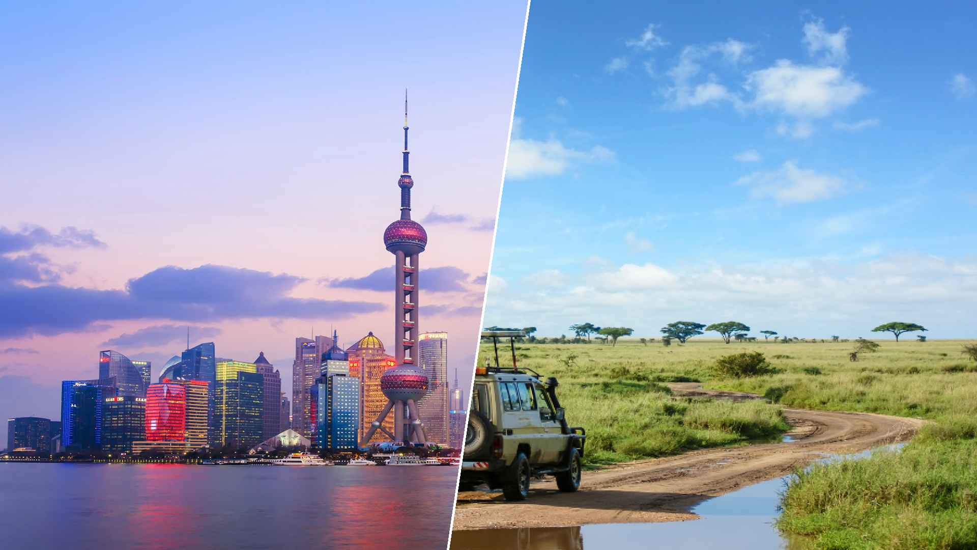 Shanghai to Serengeti