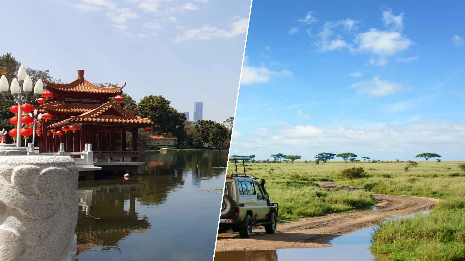 Shenzen to Serengeti