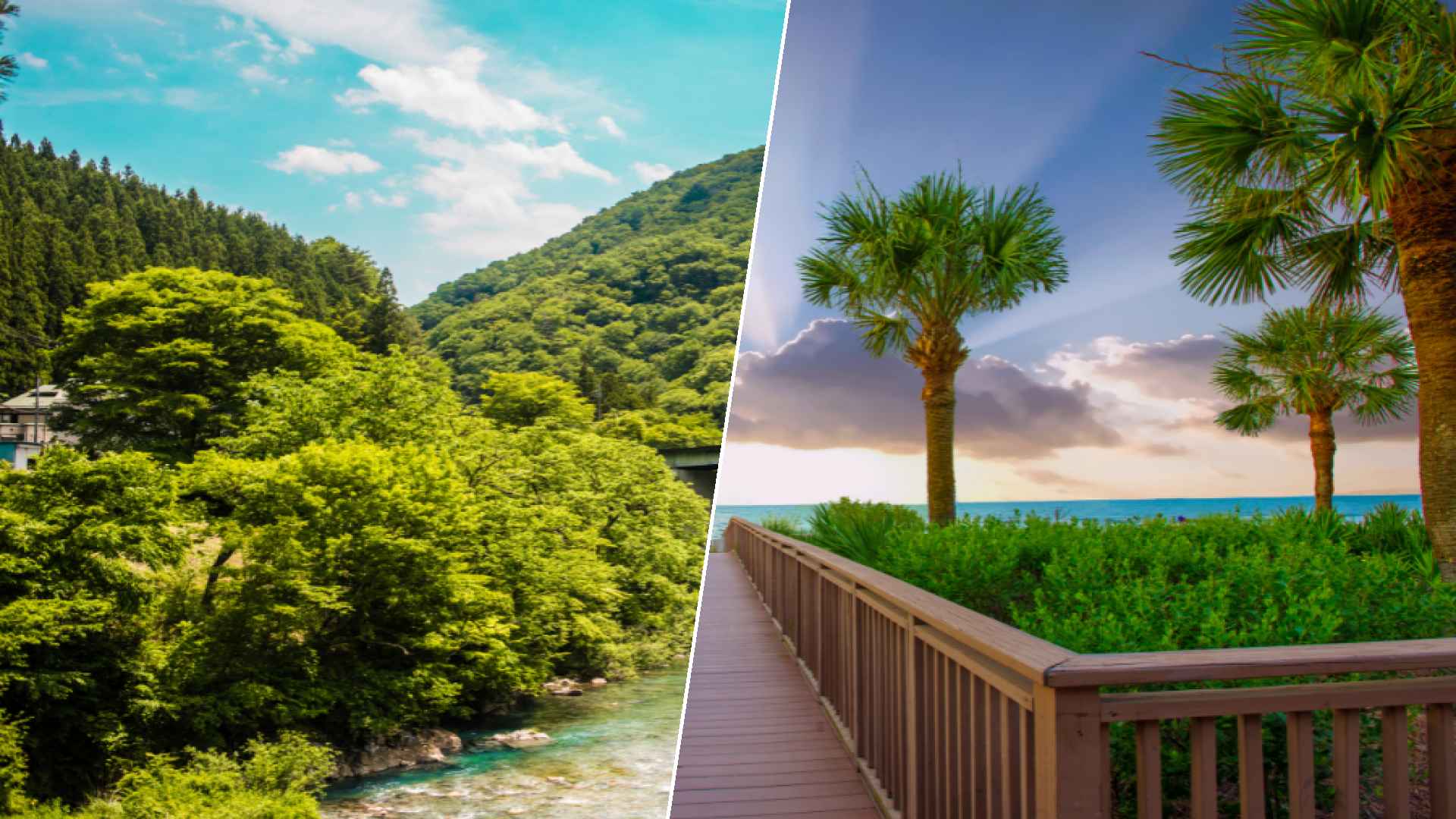 Shima to Hilton Head Island