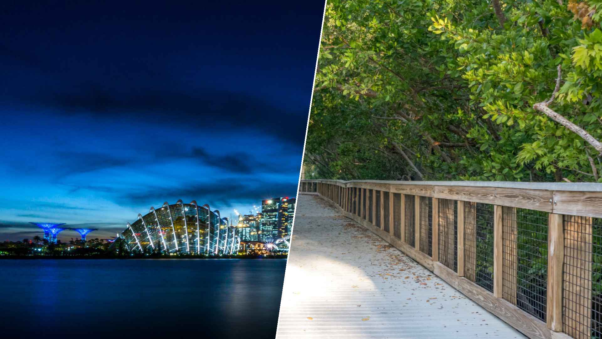 Singapore to Port St. Lucie