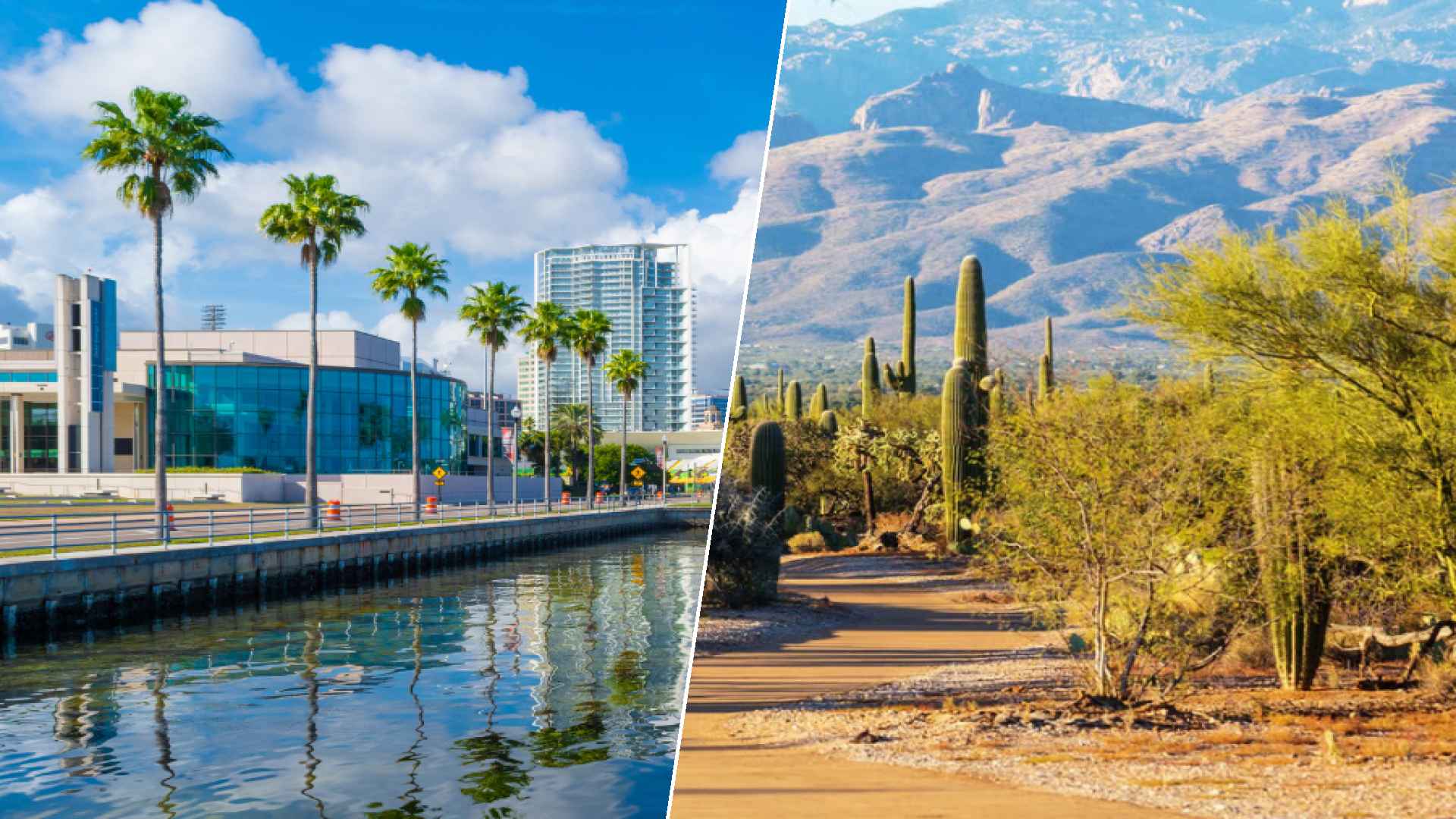 St. Petersburg to Glendale